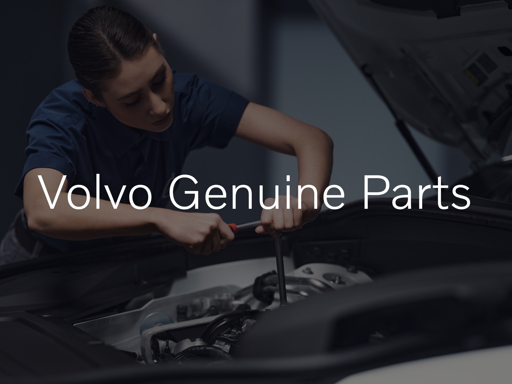 Volvo Genuine Parts